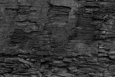 Old Aged Shabby Cliff Face And Divided By Huge Cracks And Layers.