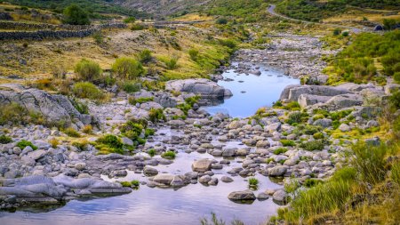 Téléchargez les photos : Panoramique de la rivière Barbellido avec ses pierres rondes de la zone refuge El Mellizo dans la Sierra de Gredos - en image libre de droit