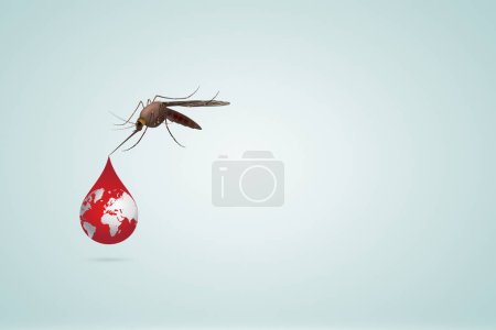 World Mosquito Day, Illustration of Mosquitoes and Disease Prevention.