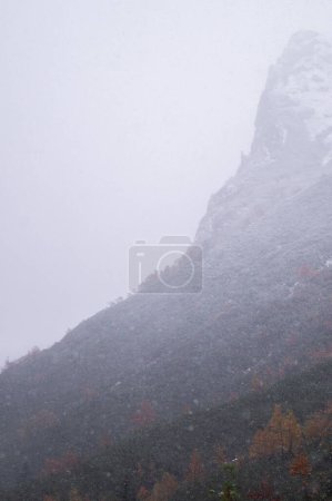 Photo for Captivating scene from Dolina Roztoki, showcasing a mountain's rugged peak enveloped in a fresh blanket of snow, while the lower slope presents autumn's vibrant foliage. - Royalty Free Image