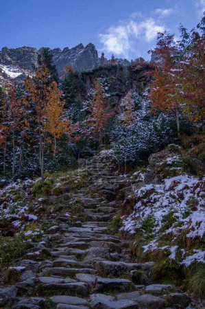 Photo for Serene mountain scene during autumn transition. Stone stairway amidst colorful trees, leading to snow-capped peaks, capturing nature's contrasting beauty. - Royalty Free Image