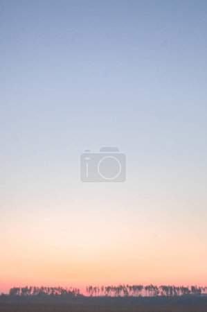Photo for Dawn's gradient colors the sky; Soft pastel hues create a serene daybreak backdrop; Blush of sunrise meets the calm countryside horizon. - Royalty Free Image