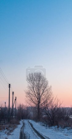 Photo for Tranquil country road at dawn with pastel winter skies; soft hues light up a rural path; quiet beauty under the awakening pastel sky. - Royalty Free Image