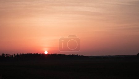 Photo for Serene Dawn: Tranquil sunrise over a peaceful forest, perfect for wellness and meditation themes. Immerse in the beauty of nature's awakening with this vibrant sunrise. Early morning sun casts a warm glow over a tranquil forest landscape. - Royalty Free Image