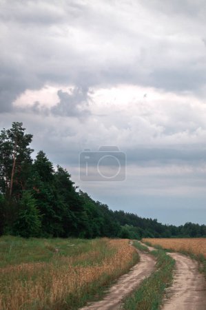 Photo for Rustic country road leading through golden wheat fields against a dramatic cloudy sky. Moody landscape with storm clouds gathering over lush green forest and farmland. Serene rural scene before the storm, showcasing nature's dynamic contrast. - Royalty Free Image