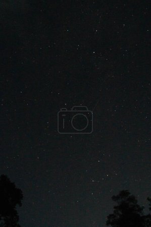 Photo for Capture the wonder of the cosmos with this stunning night sky photography. Ideal for decor, educational content, and digital backdrops. A clear view of the heavens, perfect for astronomy buffs. - Royalty Free Image