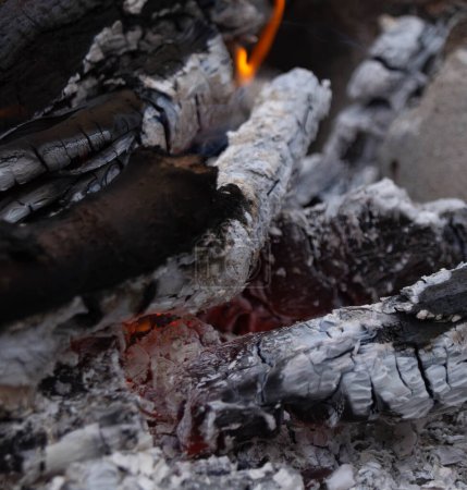 Close-up of glowing embers and flames in a wood fire. Intimate detail of a campfire's burning logs and ash. The warmth of smoldering coals and firewood captured up close. The mesmerizing textures of charcoal and fire in a campfire.