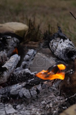Flames engulfing logs in a serene outdoor fire pit. Nature's bonfire, burning logs with lively flames. Warm, glowing fire pit amidst tranquil nature setting. Peaceful campfire scene, orange flames dancing on wood.