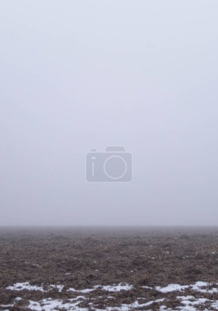 Photo for A stark winter field lies dormant under a heavy grey sky, an embodiment of stillness. The raw simplicity of a winter-harvested field cloaked in the silent breath of fog. In the quiet of winter, a harvested field rests under a shroud of cold fog. - Royalty Free Image
