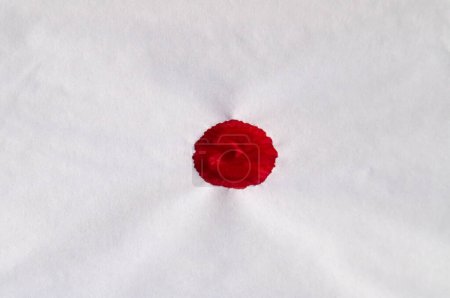 Vivid drop of dried blood centered on a blank white napkin. The starkness of a red blot against the purity of white. Abstract art in real life: one drop of blood on white fabric. Simplicity in contrast: a lone, dried drop of blood on pristine white.
