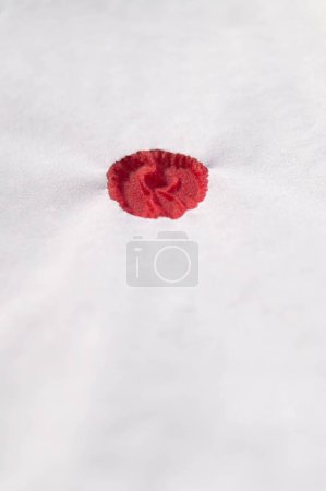 Stark contrast of a dried blood drop on a pristine white napkin. Single crimson mark, a stark reminder on white, the only evidence remaining. Red droplet dried on whitea minimalistic yet powerful image. Isolated bloodstain on a clean background.