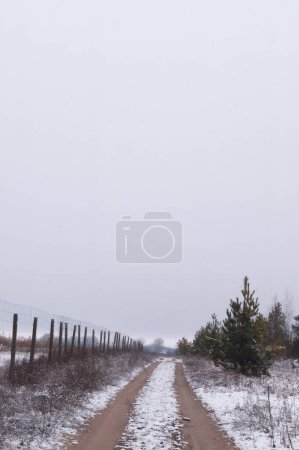 Rural road through a snowy Ukrainian landscape in early March. Snow-kissed path flanked by bare trees in the Ukrainian countryside. Quiet rural trail dusted with snow, capturing Ukraine's winter end. Early spring snow lightly coats a country road.