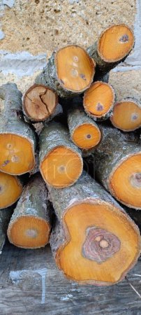 Photo for Freshly cut logs stacked against a textured wall, highlighting the vibrant orange heartwood and natural patterns in the wood. - Royalty Free Image