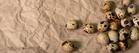 Fresh quail eggs on craft paper