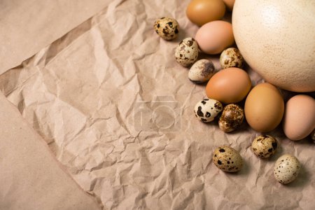 A large ostrich egg and many chicken and quail eggs on kraft paper close-up.
