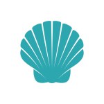 seashell icon vector illustration