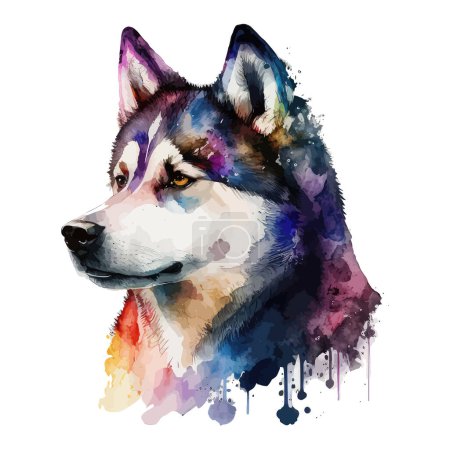 Illustration for Picture of a husky with brown eyes painted in watercolor on a white background. Lovely pets, Vector watercolor isolated illustration - Royalty Free Image