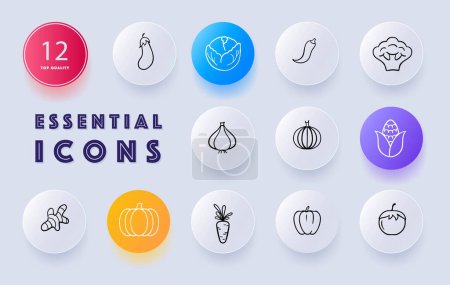 Illustration for Vegetable icon set. A visual representation of various edible plants that are commonly used as ingredients. Vegetables concept. Neomorphism style. Vector line icon for Business and Advertising - Royalty Free Image