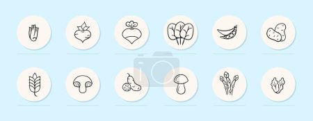 Ilustración de Icono de línea de verduras. Comida saludable, maíz, zanahorias, col, papas, brócoli, pimientos picantes Fondo de color pastel Icono de línea vectorial - Imagen libre de derechos