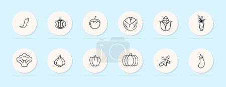 Illustration for Vegetables line icon. Pumpkin, ginger, garlic, broccoli, carrot, tomato pumpkin Pastel color background Vector line icon - Royalty Free Image