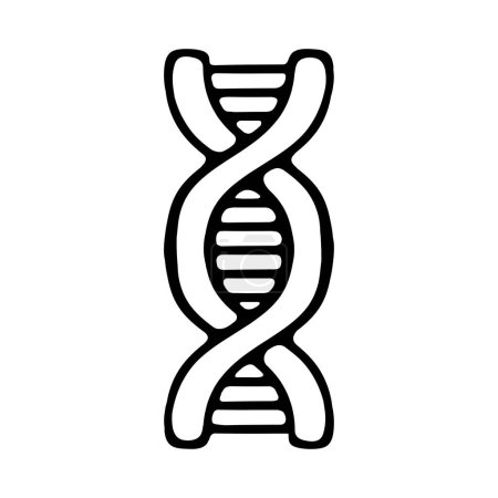 Illustration for Dna line icon. Chromosomes, RNA, heredity, genome, cell, biology. Vector black line icon on white background for Business - Royalty Free Image