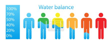 Ilustración de Equilibrio de agua en un hombre en diferentes colores ilustración. Necesidades, deshidratación, ingesta de líquidos, nutrición adecuada, estilo de vida saludable. Iconos vectoriales - Imagen libre de derechos