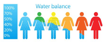 Ilustración de Equilibrio de agua en una mujer en diferentes colores ilustración. Necesidades, deshidratación, ingesta de líquidos, nutrición adecuada, estilo de vida saludable. Iconos vectoriales - Imagen libre de derechos