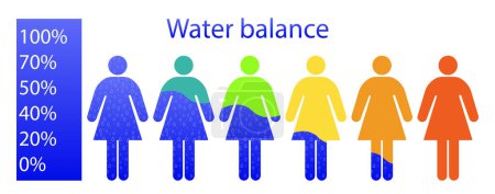 Ilustración de Equilibrio de agua en una mujer en colores brillantes ilustración. Necesidades, deshidratación, ingesta de líquidos, nutrición adecuada, estilo de vida saludable. Iconos vectoriales - Imagen libre de derechos