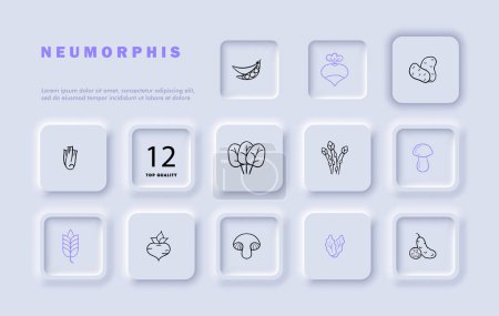 Vegetables line icon set. Beetroot, radish, potato, mushroom, spikelet, radish, healthy, appetizing. Neomorphism style. Vector line icon for business and advertising.