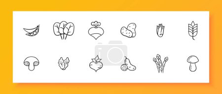 Illustration for Vegetables icon set. Peas, potatoes, mushrooms, spikelets, beet, spinach, greens, salad, side dish. Black icon on a white background. Vector line icon for business and advertising - Royalty Free Image
