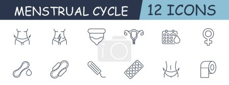 Téléchargez les illustrations : Cycle menstruel définir l'icône de ligne. Utérus, ovaires, papier toilette, tampon, tampon, sous-vêtements, calendrier. Icône 12 lignes. icône de ligne vectorielle pour les entreprises et la publicité - en licence libre de droit