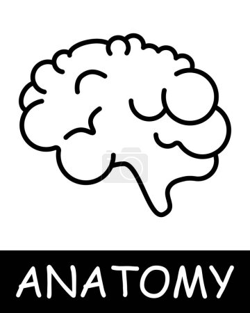 Illustration for Brain line icon. Neurotransmitters, gray matter, thinking, anatomy, medicine, teaching, doctor, nurse, human, body, physiology. Vector line icon for business and advertising - Royalty Free Image