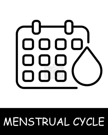 Illustration for Calendar line icon. Planning, menstrual cycle, estrogen, hygiene, ovulation, hormones, women's health, soreness. Vector line icon for business and advertising - Royalty Free Image
