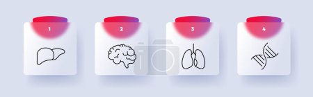Ilustración de Icono de conjunto de órganos. Hígado, cerebro, pulmones, ADN, numeración, diseño plano. Concepto de autocuidado. Estilo de glassmorphism - Imagen libre de derechos