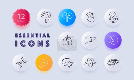 Illustration for Organs set icon. Intestinal tract, stomach, liver, brain, lungs, embryo, DNA, tooth, eye, heart, eyelids, eyelashes. mesh, gradient. Self care concept. Glassmorphism style - Royalty Free Image