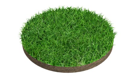 Photo for Green lawn circle on white background,3d rendering - Royalty Free Image