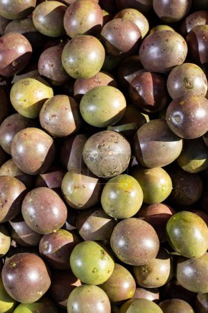 Téléchargez les photos : Gulupa fruits tropicaux biologiques sur la place du marché colombien - Passiflora edulis f. edulis - en image libre de droit