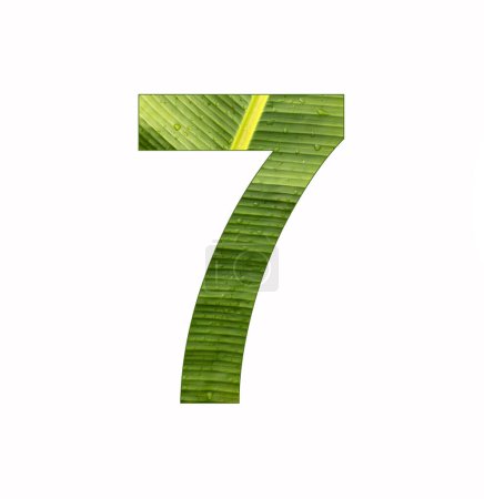Téléchargez les photos : Numéro 7 - Chiffre sept sur fond de feuille de bananier - en image libre de droit