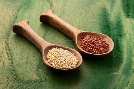 Téléchargez les photos : Chenopodium quinoa - Graines de quinoa blanc et rouge dans une cuillère - en image libre de droit
