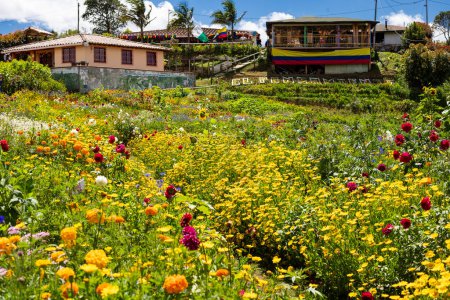 Téléchargez les photos : Jardins de la maison silletera - Santa Elena - en image libre de droit