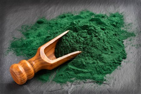 Spirulina powder healthy dietary supplement - Algae powder in spoon