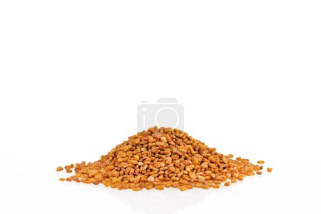 Raw organic fenugreek seeds - Methi Dana