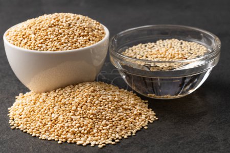 Téléchargez les photos : Chenopodium quinoa - Céréales de quinoa trempées dans l'eau - en image libre de droit