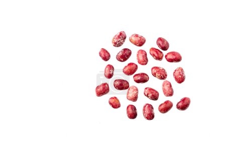 Frische rote Pinto-Bohnen auf weißem Hintergrund - Phaseolus vulgaris pinto