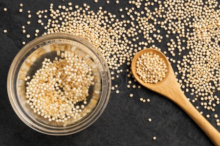 Téléchargez les photos : Céréales de quinoa trempées dans l'eau - Chenopodium quinoa - en image libre de droit