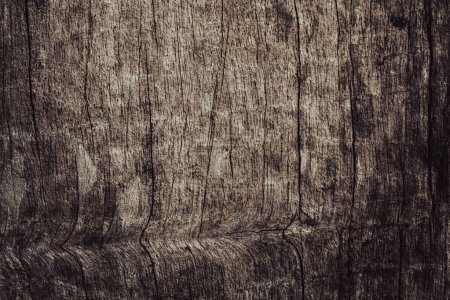 Old wood texture background for design Poster 619477824