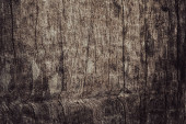 Old wood texture background for design Poster #619477824