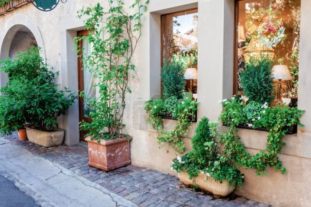 Yvoire-Straßen erblühen mit Leben, während grüne Pflanzen und Blumen die historischen Häuser verschönern und der mittelalterlichen Architektur Charme verleihen.