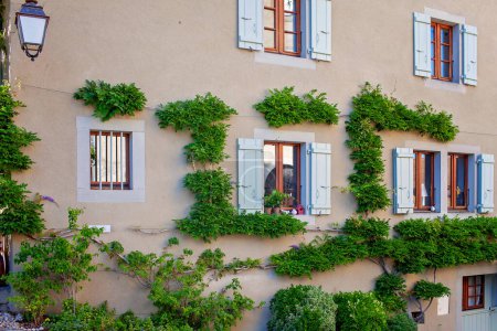 Foto de Viñas enredaderas adornan las paredes de una encantadora casa Yvoire, añadiendo vegetación a la arquitectura clásica con persianas pintadas y ventanas pintorescas. - Imagen libre de derechos