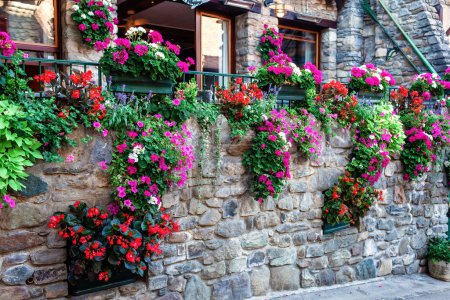 A stone wall in Yvoire bursts with color from vibrant geraniums and lush greenery, a testament to the villages reputation as a floral paradise.